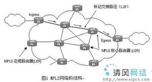 多业务MPLS基础网络的运营与维护 构建高效可靠的网络运行维护服务体系